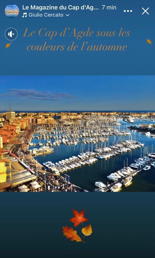 Studio La Grande Roue Vue Magnifique Agde Zewnętrze zdjęcie